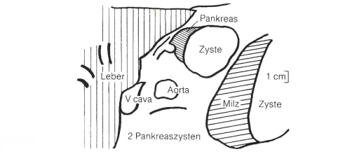 medizin